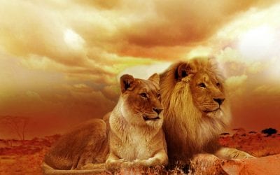 África – 11 Paraísos de Ensueño