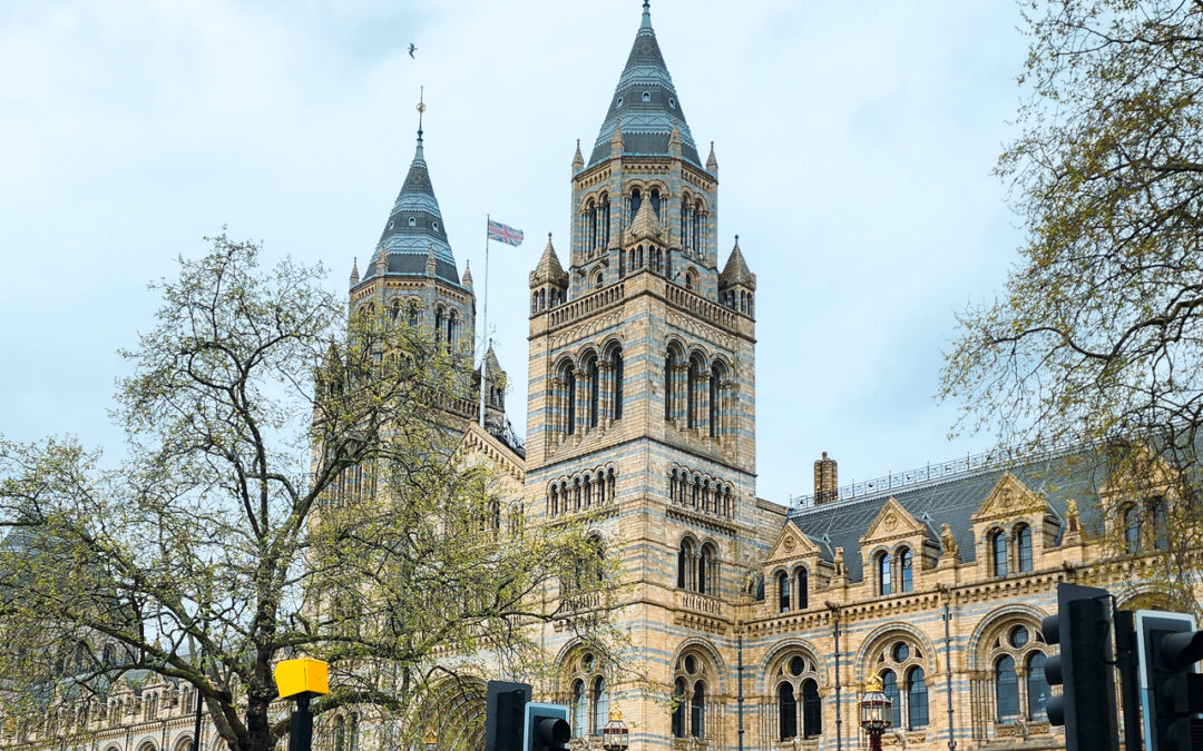Visita los Museos imperdibles de Londres