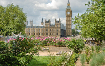 Cómo llegar a Londres desde Argentina o Europa (guía actualizada 2026)