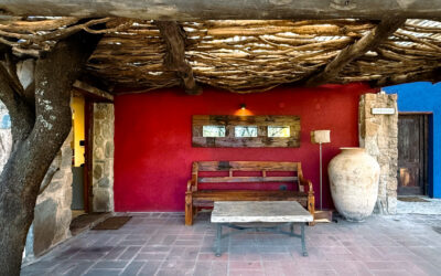 Bodega Aráoz de Lamadrid en San Javier