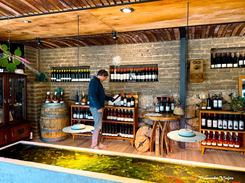 Bodega Araoz de Lamadrid en San Javier