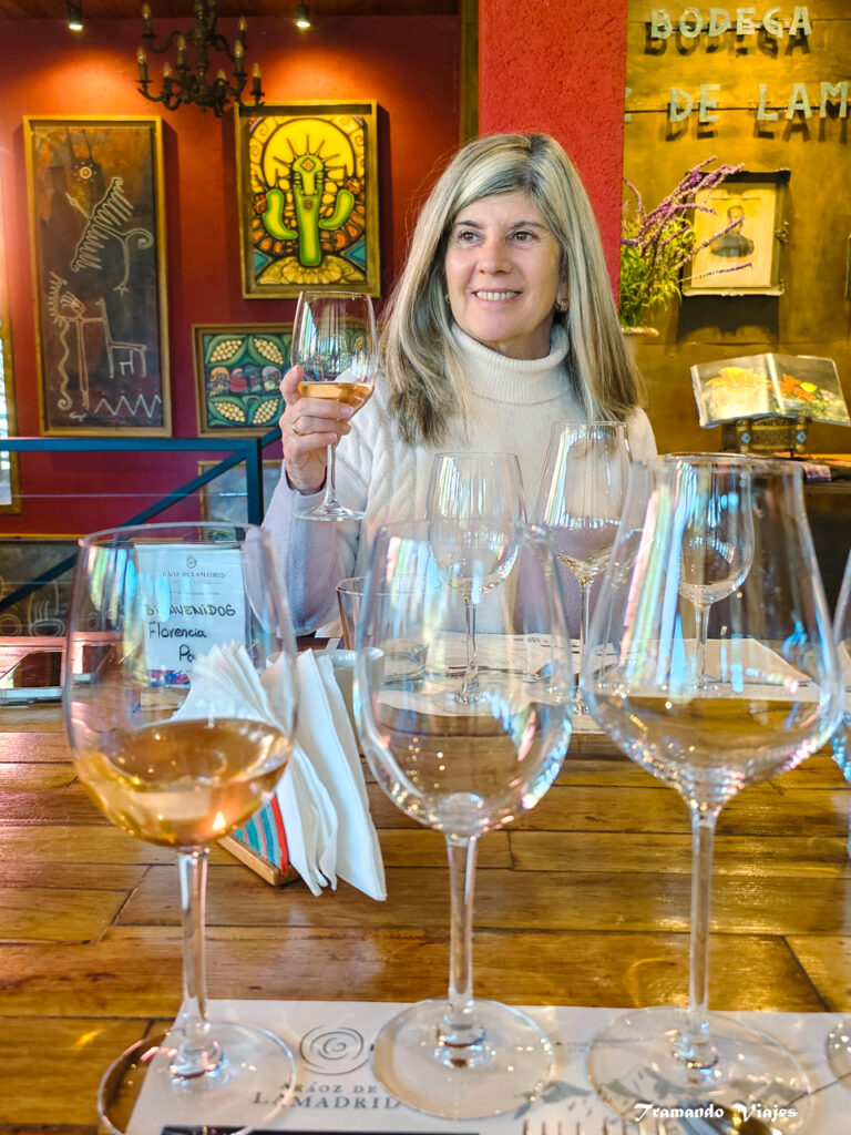 Cata en la Bodega Araoz de Lamadrid en San Javier