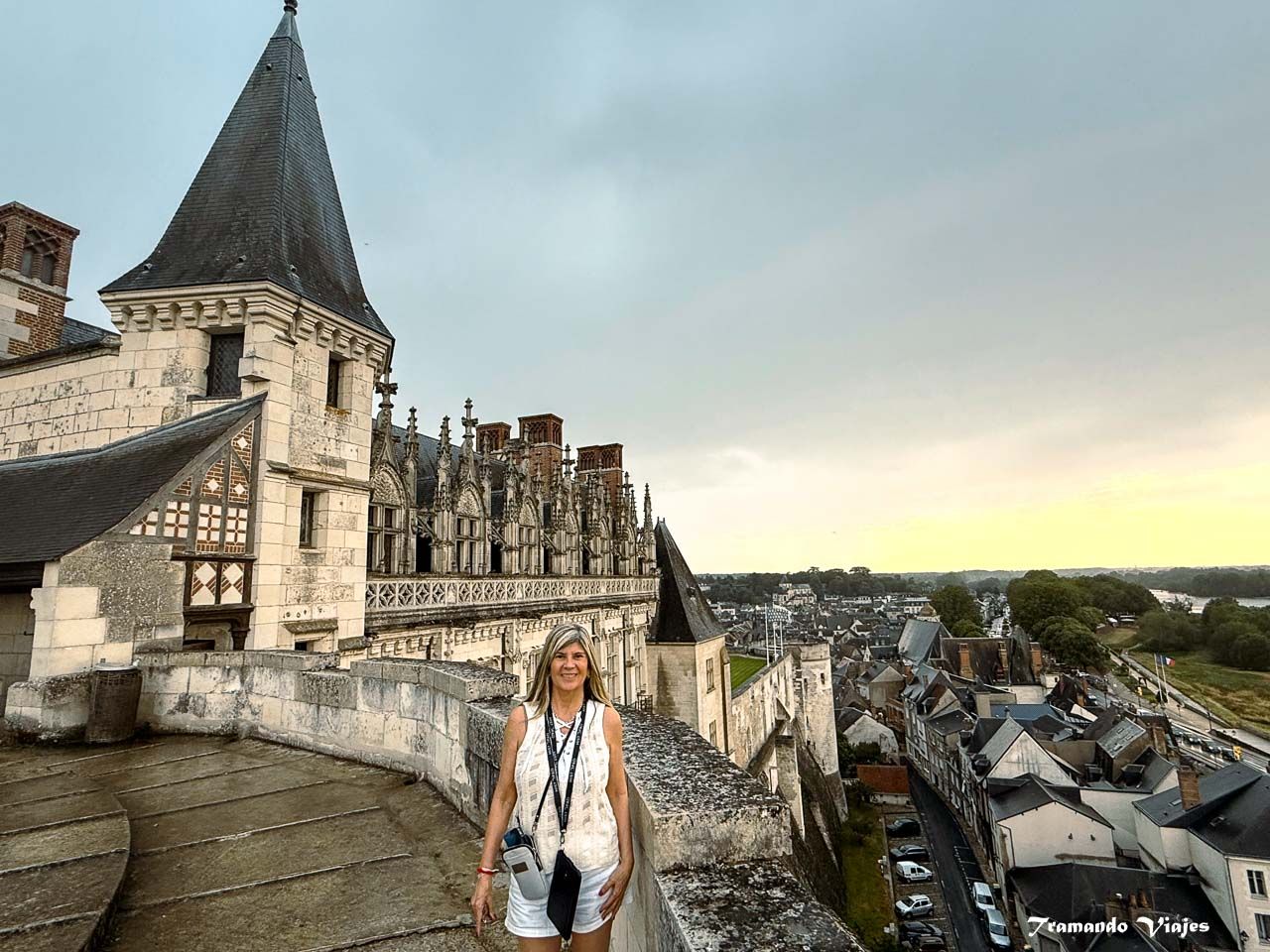 Terrazas del Castillo de Amboise con vistas sobre la ciudad
