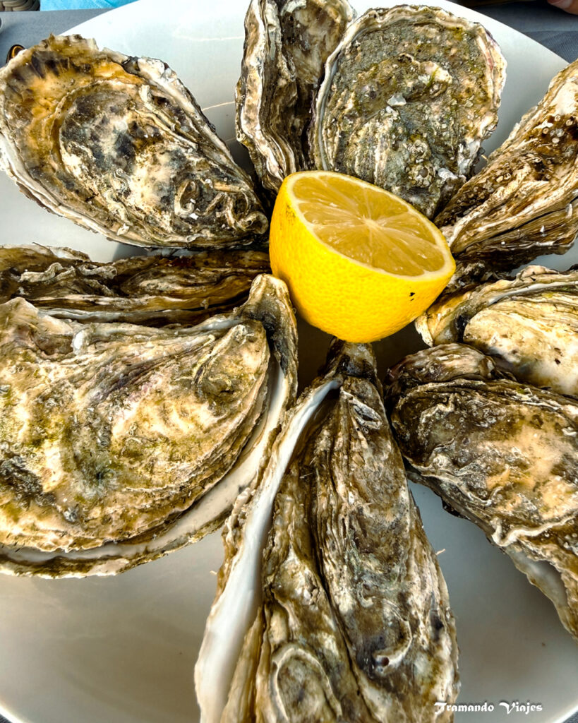 Ostras de Normandía en Honfleur