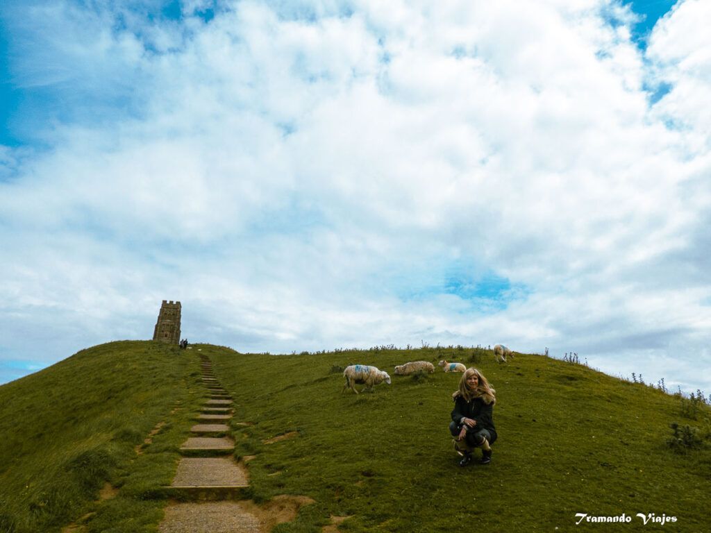 Subida a Glastonbury Tor entre campos y ovejas
