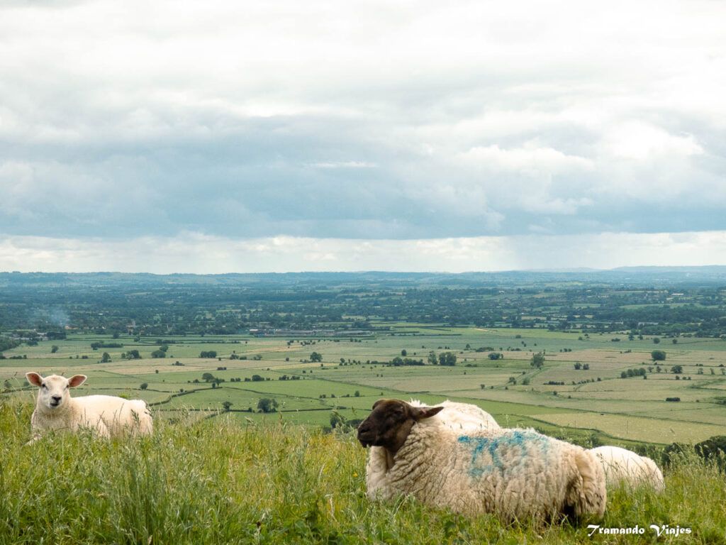 Vistas de Somerset desde Glastonbury Tor