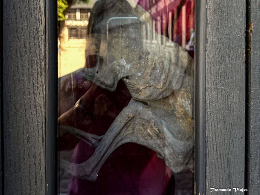 Gato momificado conservado detrás de una ventana en el Aître Saint-Maclou